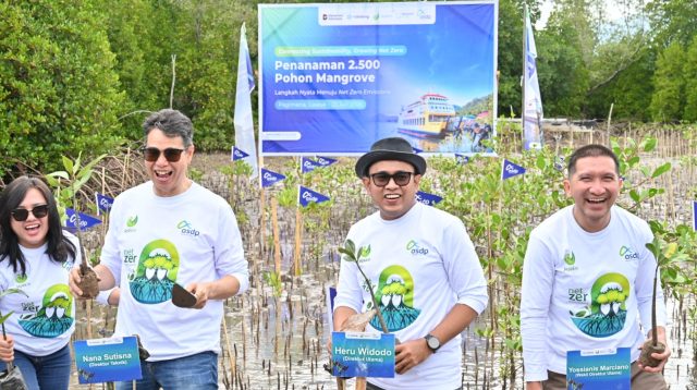 MANGROVE